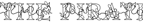 Font : DJ-Lights Custom Text : The Pirate Way Test your own text here Click to download or to view this font on a tshirt that can be custom printed in Bali