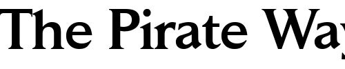 Font : DaitonaBlackDB-Normal Custom Text : The Pirate Way Test your own text here Click to download or to view this font on a tshirt that can be custom printed in Bali