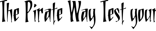 Font : DeadRinger-BB Custom Text : The Pirate Way Test your own text here Click to download or to view this font on a tshirt that can be custom printed in Bali