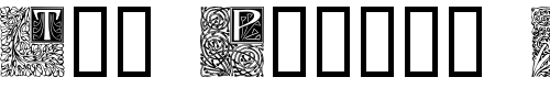 Font : Decorative-Initials-2 Custom Text : The Pirate Way Test your own text here Click to download or to view this font on a tshirt that can be custom printed in Bali