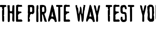 Font : Device-Regular Custom Text : The Pirate Way Test your own text here Click to download or to view this font on a tshirt that can be custom printed in Bali