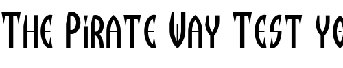 Font : Devit Custom Text : The Pirate Way Test your own text here Click to download or to view this font on a tshirt that can be custom printed in Bali