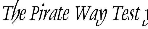 Font : Dolphin-Thin-Italic Custom Text : The Pirate Way Test your own text here Click to download or to view this font on a tshirt that can be custom printed in Bali