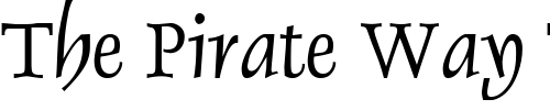 Font : Dolphin_TR-Normal Custom Text : The Pirate Way Test your own text here Click to download or to view this font on a tshirt that can be custom printed in Bali
