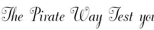 Font : Dorchester-Script-MT Custom Text : The Pirate Way Test your own text here Click to download or to view this font on a tshirt that can be custom printed in Bali