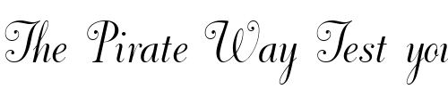 Font : DorchesterScriptMT Custom Text : The Pirate Way Test your own text here Click to download or to view this font on a tshirt that can be custom printed in Bali