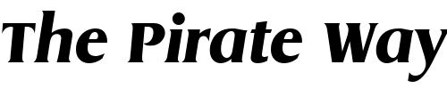 Font : DynamicItal-Regular Custom Text : The Pirate Way Test your own text here Click to download or to view this font on a tshirt that can be custom printed in Bali