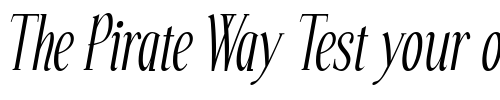 Font : Echelon-Italic Custom Text : The Pirate Way Test your own text here Click to download or to view this font on a tshirt that can be custom printed in Bali