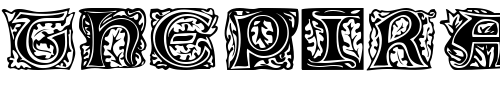 Font : Eichenlaub-Initialen Custom Text : The Pirate Way Test your own text here Click to download or to view this font on a tshirt that can be custom printed in Bali