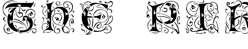 Font : Eileen-Caps-Black Custom Text : The Pirate Way Test your own text here Click to download or to view this font on a tshirt that can be custom printed in Bali
