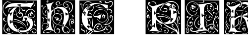 Font : Eileen-Caps-Regular Custom Text : The Pirate Way Test your own text here Click to download or to view this font on a tshirt that can be custom printed in Bali
