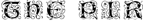 Font : EileenCaps-Black-Regular Custom Text : The Pirate Way Test your own text here Click to download or to view this font on a tshirt that can be custom printed in Bali