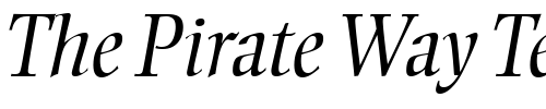 Font : Ellington-MT-Light-Italic Custom Text : The Pirate Way Test your own text here Click to download or to view this font on a tshirt that can be custom printed in Bali