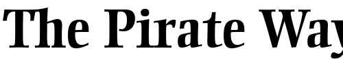 Font : EllingtonMT-Bold Custom Text : The Pirate Way Test your own text here Click to download or to view this font on a tshirt that can be custom printed in Bali