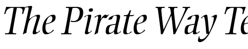 Font : EllingtonMT-Light-Italic Custom Text : The Pirate Way Test your own text here Click to download or to view this font on a tshirt that can be custom printed in Bali