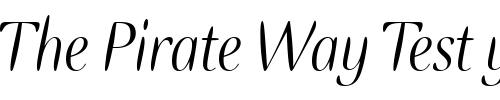 Font : Ellipse-ITC-Italic Custom Text : The Pirate Way Test your own text here Click to download or to view this font on a tshirt that can be custom printed in Bali