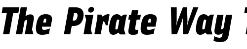 Font : Ellipsoideogram Custom Text : The Pirate Way Test your own text here Click to download or to view this font on a tshirt that can be custom printed in Bali