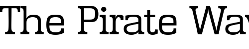 Font : Enschede-Serial-Light-Regular Custom Text : The Pirate Way Test your own text here Click to download or to view this font on a tshirt that can be custom printed in Bali