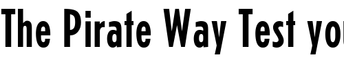 Font : Erbar-Regular-DB Custom Text : The Pirate Way Test your own text here Click to download or to view this font on a tshirt that can be custom printed in Bali