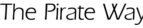 Font : Ergo-Regular Custom Text : The Pirate Way Test your own text here Click to download or to view this font on a tshirt that can be custom printed in Bali