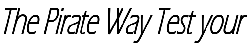 Font : Eric-Lite-Thin-BoldItalic Custom Text : The Pirate Way Test your own text here Click to download or to view this font on a tshirt that can be custom printed in Bali