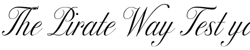 Font : Excelsior-Script Custom Text : The Pirate Way Test your own text here Click to download or to view this font on a tshirt that can be custom printed in Bali