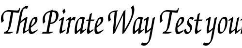 Font : ExchequerScriptCondensed Custom Text : The Pirate Way Test your own text here Click to download or to view this font on a tshirt that can be custom printed in Bali