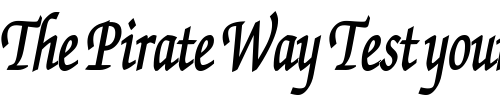 Font : ExchequerScriptCondensed-Bold Custom Text : The Pirate Way Test your own text here Click to download or to view this font on a tshirt that can be custom printed in Bali