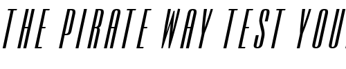 Font : Expel-BoldItalic Custom Text : The Pirate Way Test your own text here Click to download or to view this font on a tshirt that can be custom printed in Bali