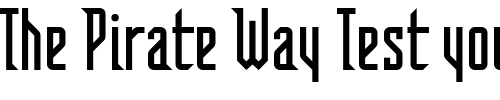 Font : FFVortex Custom Text : The Pirate Way Test your own text here Click to download or to view this font on a tshirt that can be custom printed in Bali