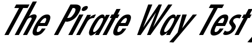 Font : FFX-Logo Custom Text : The Pirate Way Test your own text here Click to download or to view this font on a tshirt that can be custom printed in Bali