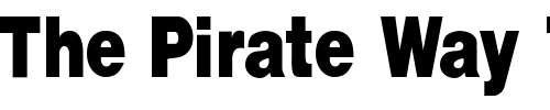 Font : FZ-BASIC-13-COND Custom Text : The Pirate Way Test your own text here Click to download or to view this font on a tshirt that can be custom printed in Bali