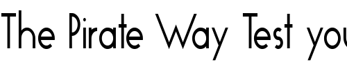 Font : FZ-BASIC-19-COND Custom Text : The Pirate Way Test your own text here Click to download or to view this font on a tshirt that can be custom printed in Bali