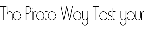 Font : FZ-BASIC-20-COND Custom Text : The Pirate Way Test your own text here Click to download or to view this font on a tshirt that can be custom printed in Bali