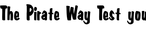 Font : FZ-BASIC-3-COND Custom Text : The Pirate Way Test your own text here Click to download or to view this font on a tshirt that can be custom printed in Bali