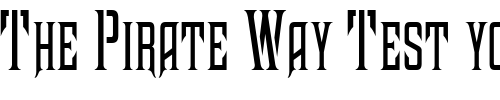 Font : FZ-BASIC-41-COND Custom Text : The Pirate Way Test your own text here Click to download or to view this font on a tshirt that can be custom printed in Bali