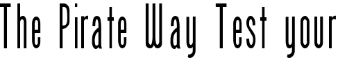 Font : FZ-BASIC-49-COND Custom Text : The Pirate Way Test your own text here Click to download or to view this font on a tshirt that can be custom printed in Bali