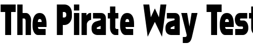 Font : FZ-BASIC-5-COND Custom Text : The Pirate Way Test your own text here Click to download or to view this font on a tshirt that can be custom printed in Bali