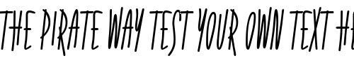 Font : Fidelity-Hour-BTN Custom Text : The Pirate Way Test your own text here Click to download or to view this font on a tshirt that can be custom printed in Bali