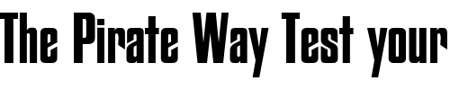 Font : Fiord-Regular-DB Custom Text : The Pirate Way Test your own text here Click to download or to view this font on a tshirt that can be custom printed in Bali
