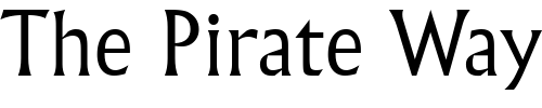 Font : Flareserif821-Lt-BT-Light Custom Text : The Pirate Way Test your own text here Click to download or to view this font on a tshirt that can be custom printed in Bali