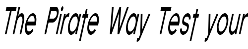 Font : Florencesans-Comp-Italic Custom Text : The Pirate Way Test your own text here Click to download or to view this font on a tshirt that can be custom printed in Bali