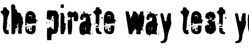Font : Fragile-ICG Custom Text : The Pirate Way Test your own text here Click to download or to view this font on a tshirt that can be custom printed in Bali