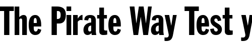 Font : FranklinGothic-ExtraCondensed Custom Text : The Pirate Way Test your own text here Click to download or to view this font on a tshirt that can be custom printed in Bali