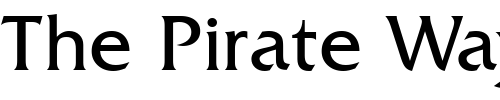 Font : Friz-Quadrata-BT Custom Text : The Pirate Way Test your own text here Click to download or to view this font on a tshirt that can be custom printed in Bali