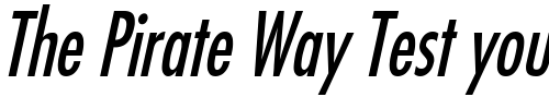 Font : Fuji-Condensed-Italic Custom Text : The Pirate Way Test your own text here Click to download or to view this font on a tshirt that can be custom printed in Bali