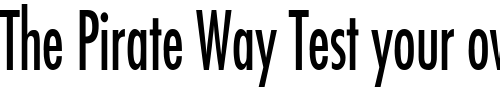 Font : Fuji-Thin-Normal Custom Text : The Pirate Way Test your own text here Click to download or to view this font on a tshirt that can be custom printed in Bali