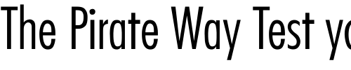 Font : Futura-CondensedLight-Normal Custom Text : The Pirate Way Test your own text here Click to download or to view this font on a tshirt that can be custom printed in Bali