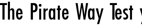 Font : FuturistCondensed-Regular Custom Text : The Pirate Way Test your own text here Click to download or to view this font on a tshirt that can be custom printed in Bali