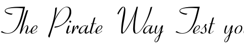 Font : GE-ElegantScript Custom Text : The Pirate Way Test your own text here Click to download or to view this font on a tshirt that can be custom printed in Bali